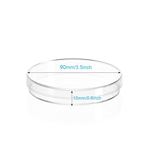 News Learn about Petri dish dimensions
