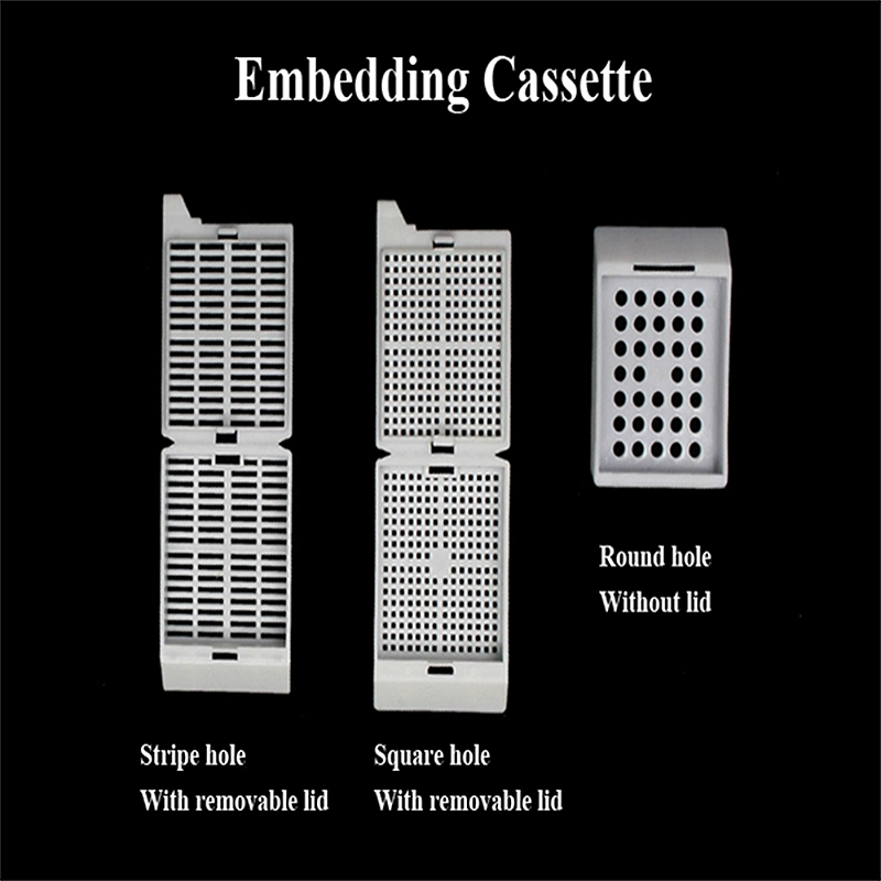 Disposable embedding box of different types of POM material (7)