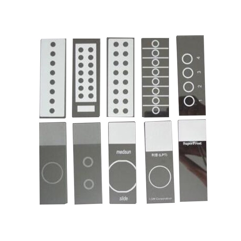 Microscope Slides With Circles Featured Image