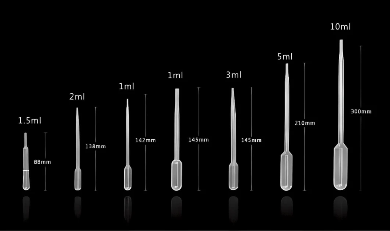 basidei3